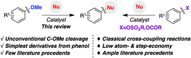 Graphical abstract: Metal-catalyzed activation of ethers via C–O bond cleavage: a new strategy for molecular diversity