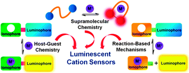 Graphical abstract: Luminescent cation sensors: from host–guest chemistry, supramolecular chemistry to reaction-based mechanisms