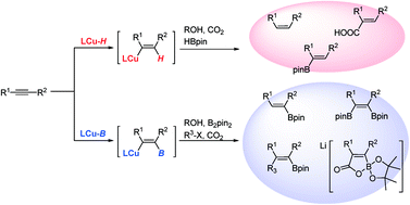 Graphical abstract: Regioselective transformation of alkynes catalyzed by a copper hydride or boryl copper species