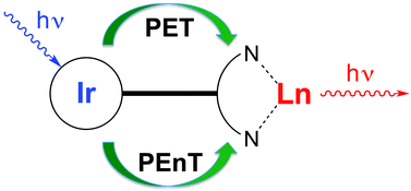 Graphical abstract