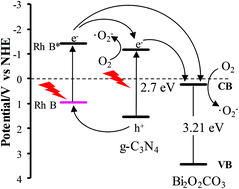 Graphical Abstract