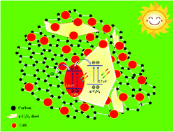 Graphical Abstract