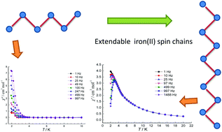 Graphical abstract: Dynamic magnetism of an iron(ii)-chlorido spin chain and its hexametallic segment