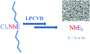 Graphical Abstract