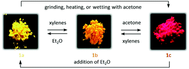 Graphical abstract: Luminescent Pt(ii) complexes bearing dual isoquinolinyl pyrazolates: fundamentals and applications