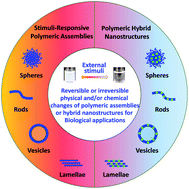 Graphical Abstract