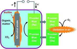 Graphical abstract: Use of low cost and easily regenerated Prussian Blue cathodes for efficient electrical energy recovery in a microbial battery