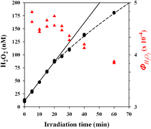 Graphical abstract: Wavelength and temperature-dependent apparent quantum yields for photochemical formation of hydrogen peroxide in seawater