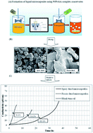 Graphical Abstract