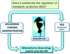 Graphical Abstract