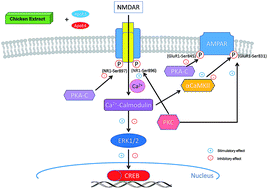 Graphical Abstract 