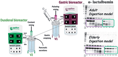 Graphical Abstract 