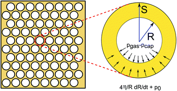 Graphical Abstract