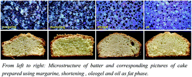 Graphical Abstract