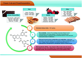 Graphical Abstract