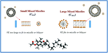 Graphical Abstract