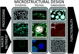 Graphical Abstract