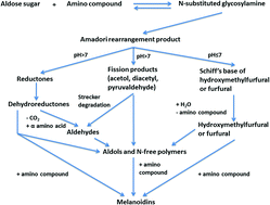 graphical abstract