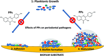 Graphical Abstract