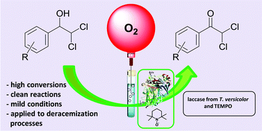 Graphical abstract: Laccase/TEMPO-mediated system for the thermodynamically disfavored oxidation of 2,2-dihalo-1-phenylethanol derivatives