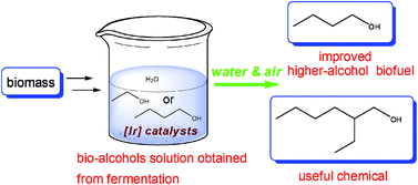 Direct self-condensation of bio-alcohols in the aqueous phase