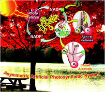 Graphene photocatalysis bio-catalysis chiral alcohols