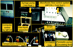 Graphical abstract: A simple strategy for in situ fabrication of a smart hydrogel microvalve within microchannels for thermostatic control