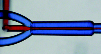 Graphical abstract: Straightforward 3D hydrodynamic focusing in femtosecond laser fabricated microfluidic channels