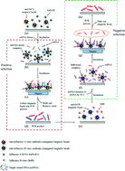 Graphical abstract: Influenza A virus-specific aptamers screened by using an integrated microfluidic system