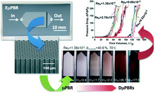 Graphical abstract: Microfluidic investigation of the deposition of asphaltenes in porous media