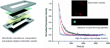 Graphical abstract: Integrating microfluidic generation, handling and analysis of biomimetic giant unilamellar vesicles