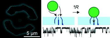 Graphical abstract: Dual-pore glass chips for cell-attached single-channel recordings