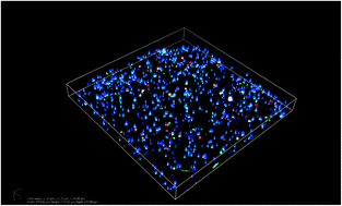 Graphical abstract: Hepatic organoids for microfluidic drug screening