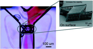 Graphical abstract: Femtosecond laser 3D micromachining: a powerful tool for the fabrication of microfluidic, optofluidic, and electrofluidic devices based on glass