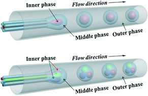 Graphical abstract: Double emulsions from a capillary array injection microfluidic device