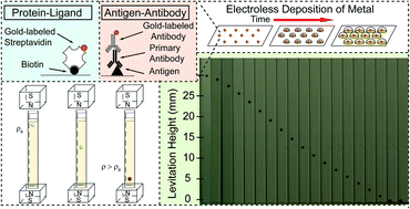 Graphical abstract: Metal-Amplified Density Assays, (MADAs), including a Density-Linked Immunosorbent Assay (DeLISA)