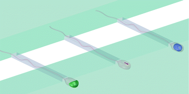 Graphical abstract: Microfluidic single sperm entrapment and analysis