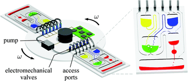 Graphical Abstract