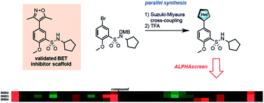 乙酰赖氨酸模拟物对bet-溴域抑制作用的评价