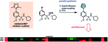 Evaluation of functional groups as acetyl-lysine mimetics for BET bromodomain inhibition