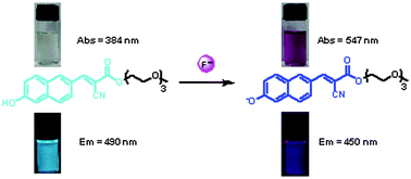 Graphical abstract: A fluorescent probe based on hydroxylnaphthalene 2-cyanoacrylate: fluoride ion detection and its bio-imaging in live cells