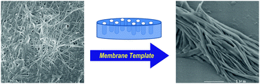 Graphical abstract: Revisiting urea-based gelators: strong solvent- and casting-microstructure dependencies and organogel processing using an alumina template