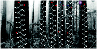 Graphical abstract: Systematic modifications of alkane-based molecular gelators and the consequences to the structures and properties of their gels