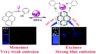 Graphical abstract: A pyrene based Schiff base probe for selective fluorescence turn-on detection of Hg2+ ions with live cell application