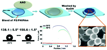 Graphical abstract: Adhesion switch on a gecko-foot inspired smart nanocupule surface