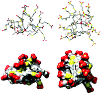 Synthesis of new anionic carbosilane dendrimers via thiol–ene chemistry and their antiviral behaviour