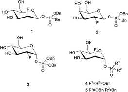 Phosphodiesters serve as potentially tunable aglycones for fluoro sugar inactivators of retaining β-glycosidases