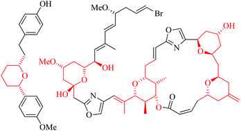 Strategies for the construction of tetrahydropyran rings in the synthesis of natural products