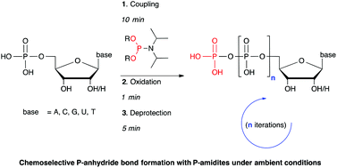 Phosphate esters and anhydrides – recent strategies targeting nature's favoured modifications