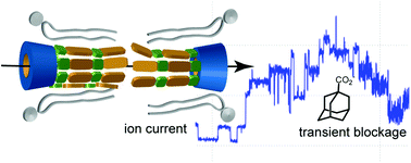 Cyclodextrin ion channels